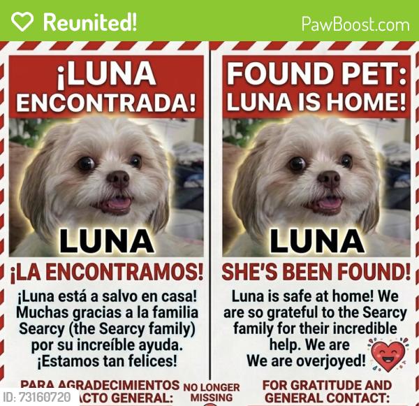 Reunited Male Dog last seen 13th street calera, Calera, AL 35040