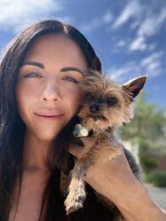 Reunited Female Dog last seen Homeward and water street, Henderson, NV 89015