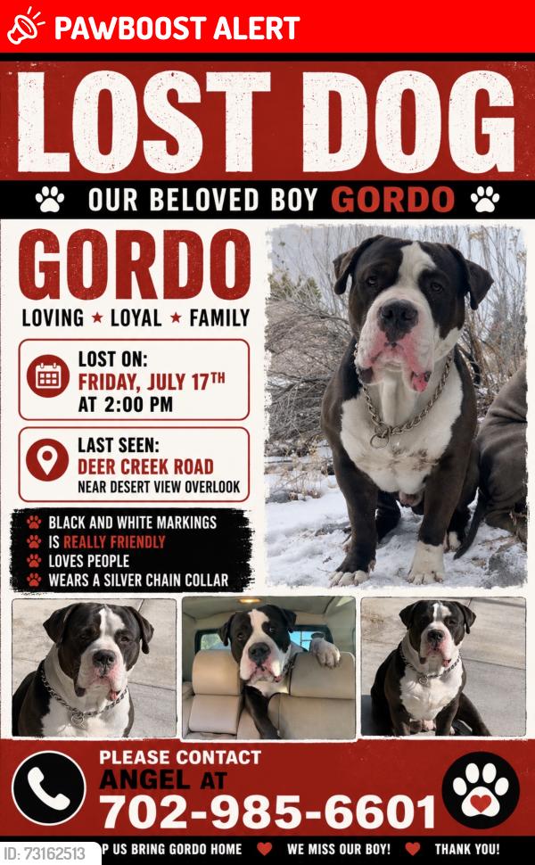 Lost Male Dog last seen Mount Charleston, Mount Charleston, NV 89124