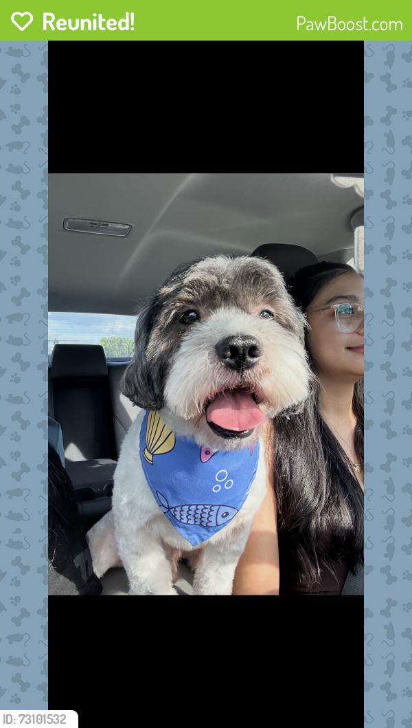 Reunited Male Dog last seen Milford elementary on Windy Hill and Austell rd, Marietta, GA 30060