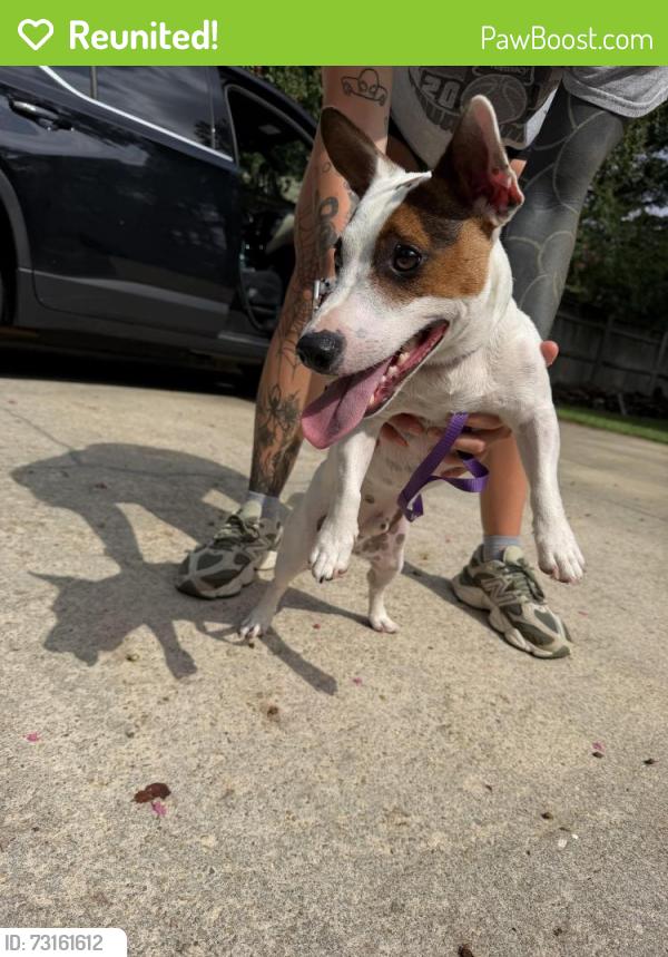 Reunited Male Dog last seen Skye drive by FTCC, Fayetteville, NC 28303