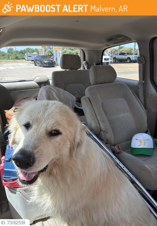 Found/Stray Unknown Dog last seen Highway 31, Malvern, AR 72104