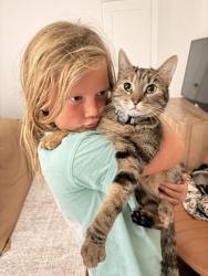 Lost Female Cat last seen Boundary St, San Diego, CA 92103