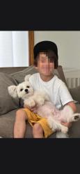 Reunited Male Dog last seen White bear ave and 94, Saint Paul, MN 55106