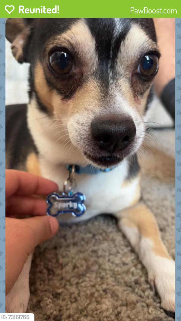 Reunited Male Dog last seen Near E Golf Links Rd, Tucson, AZ 85711, USA, Tucson, AZ 85711