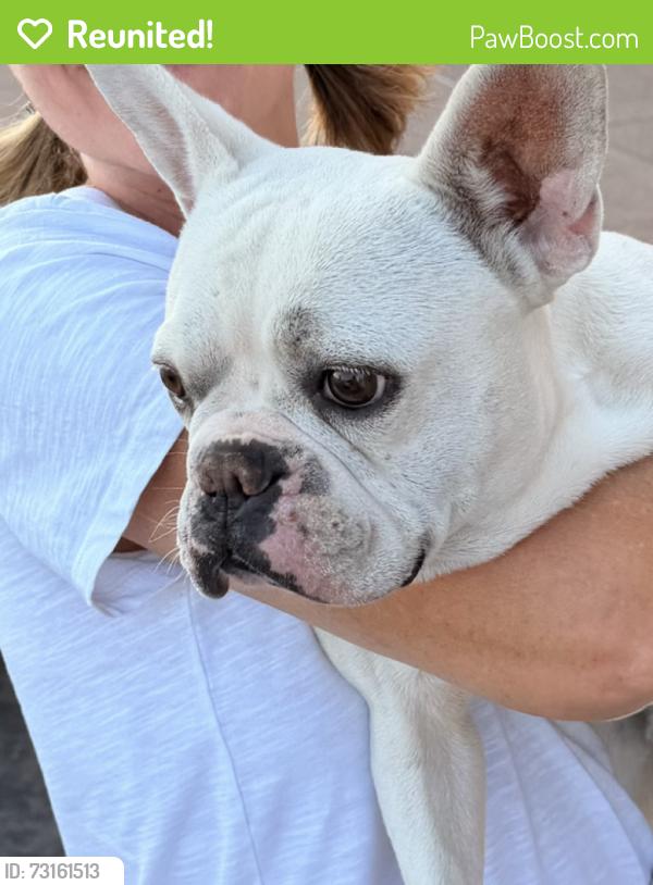 Reunited Male Dog last seen Valencia and Bastanchury, Placentia, CA 92870