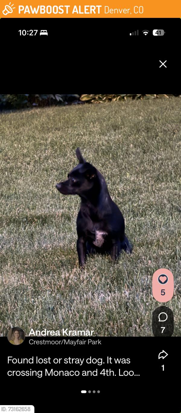 Found/Stray Male Dog last seen Crestmoor/Lowry/Mayfair, Denver, CO 80220