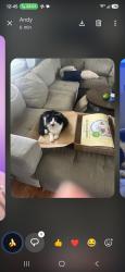 Lost Female Cat last seen West 68th ave, Arvada, CO 80003