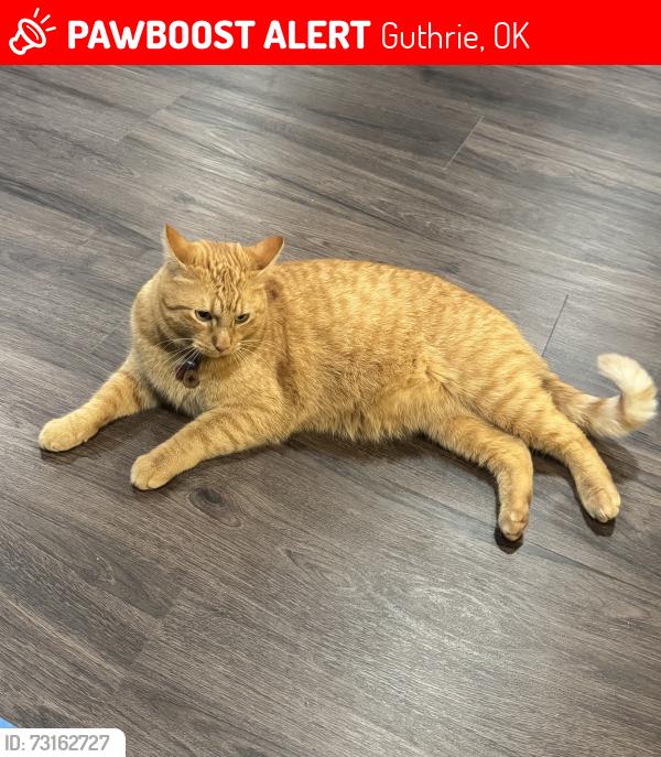 Lost Male Cat last seen Intersection of hwy 33 & hwy 105, Guthrie, OK 73044