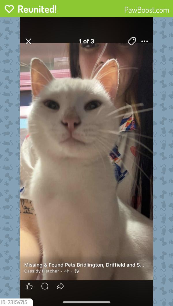 Reunited Male Cat last seen Bridlington, East Riding of Yorkshire, England YO16 4DQ