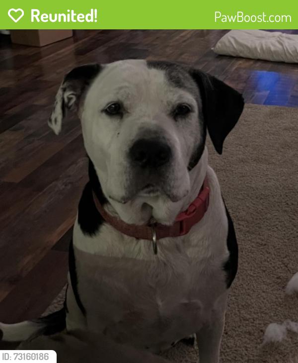 Reunited Female Dog last seen Ring Road, Moore County, NC 28327