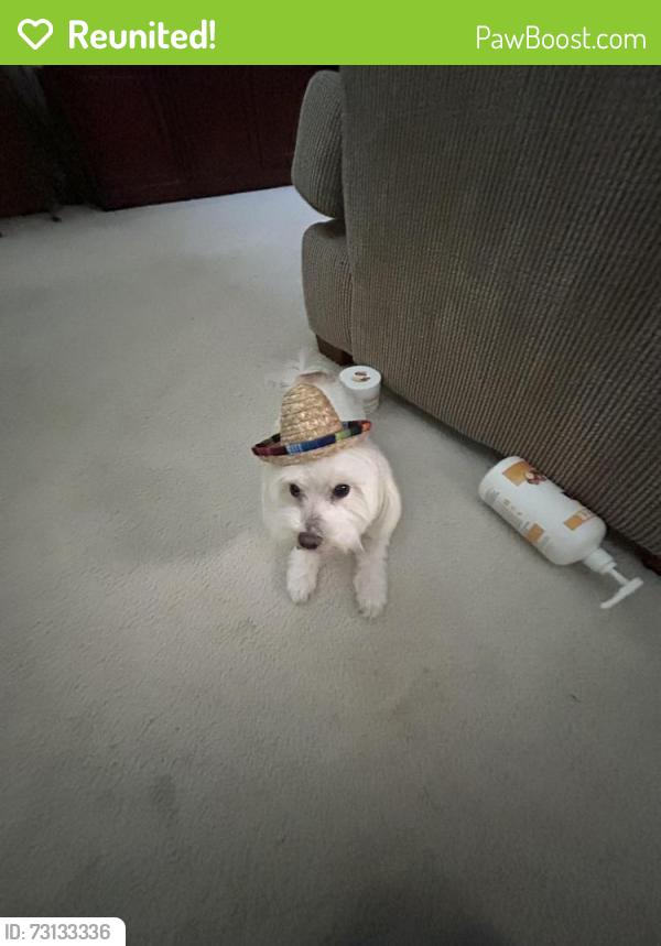 Reunited Male Dog last seen David Crocket Middle School, Richmond, TX 77407