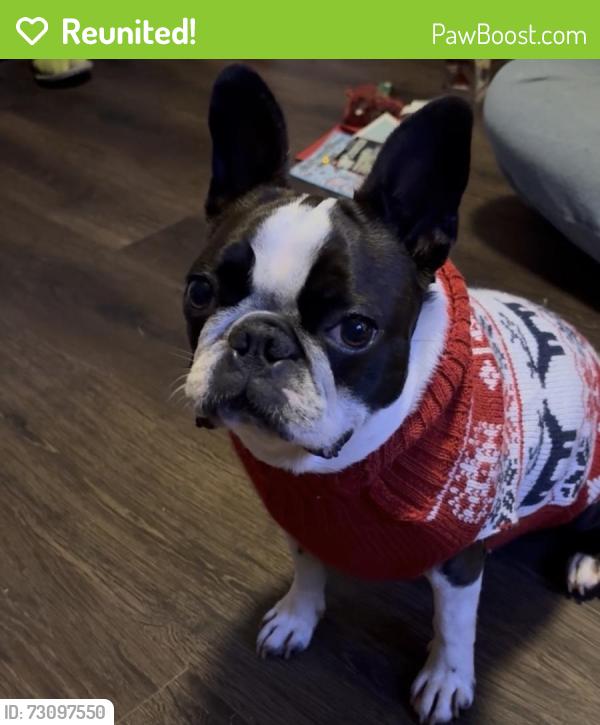 Reunited Female Dog last seen Sweeny hosp, Sweeny, TX 77480