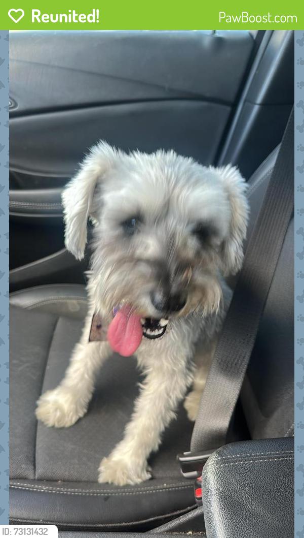Reunited Female Dog last seen Starbucks, McAllen, TX 78503
