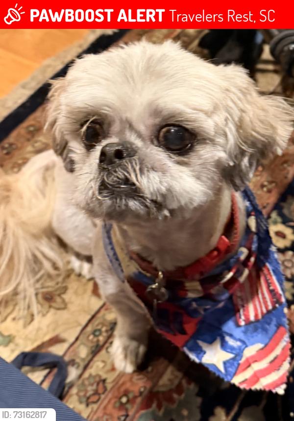 Lost Male Dog last seen Highway 11 Travelers Rest near Look Up Lodge, Travelers Rest, SC 29690