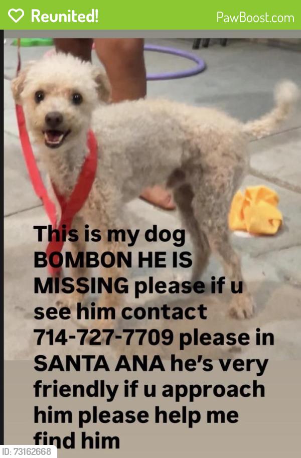 Reunited Male Dog last seen W Walnut St, Santa Ana, CA, USA, Santa Ana, CA 92703