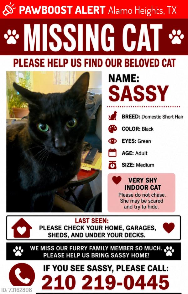 Lost Female Cat last seen Townsend Avenue, Alamo Heights, TX 78209