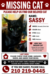 Lost Female Cat last seen Townsend Avenue, Alamo Heights, TX 78209