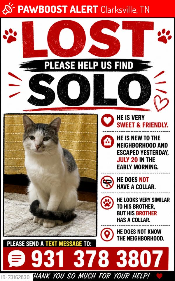 Lost Male Cat last seen Porter Hills Dr (Sango Área), Clarksville, TN 37043