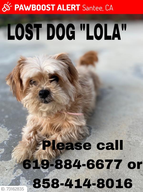 Lost Female Dog last seen Wethersfield, close to the lakes, Santee, CA 92071