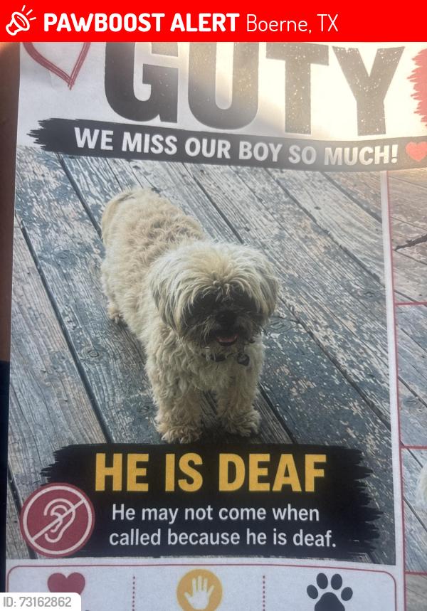 Lost Male Dog last seen Diamond C stables ranch, Boerne, TX 78006