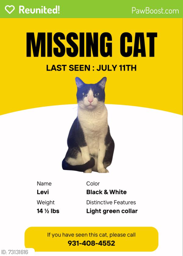 Reunited Male Cat last seen Marymont Springs - Fairhaven Lane, Murfreesboro, TN 37128