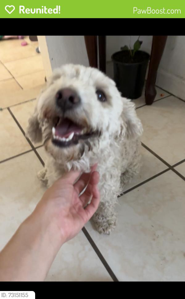 Reunited Male Dog last seen La plaza park, San Bernardino, CA 92411