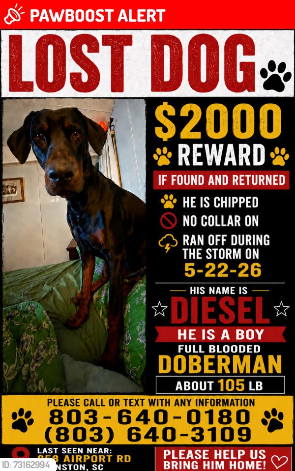 Lost Male Dog last seen Hwy 19 Trenton, Edgefield County, SC 29847