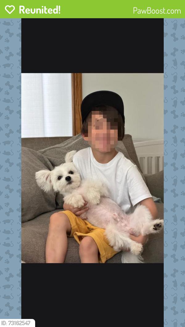 Reunited Male Dog last seen White bear ave and 94, Saint Paul, MN 55106