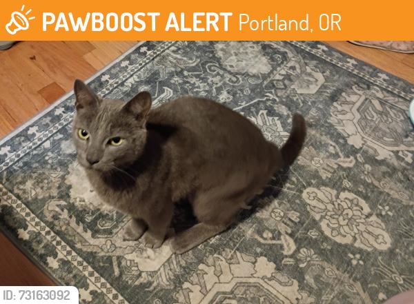 Found/Stray Female Cat last seen NE 86 ave, Portland, OR 97230