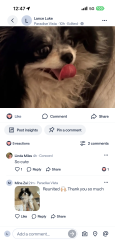Reunited Male Dog last seen West Manzanita Drive, Glendale, AZ, Glendale, AZ 85302
