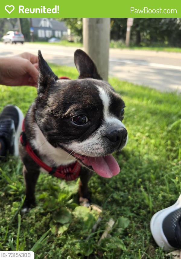 Reunited Male Dog last seen Dousman and oxford, Green Bay, WI 54303
