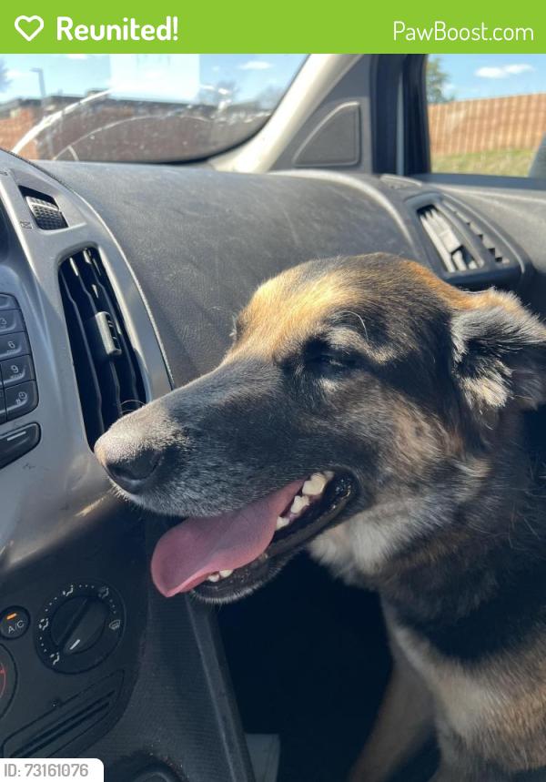 Reunited Male Dog last seen Dayton and mackubin near church, Saint Paul, MN 55102