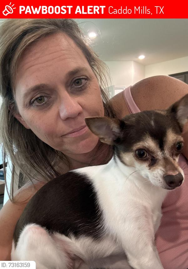 Lost Female Dog last seen Riverfield Community, Caddo Mills, TX 75135
