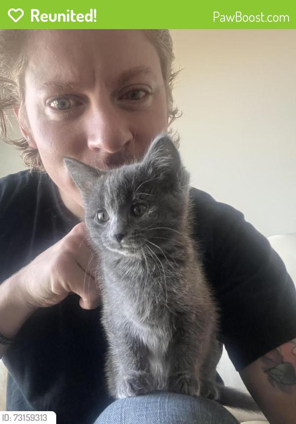 Reunited Female Cat last seen Woodpark blvd, Calgary, AB T2W 2S1