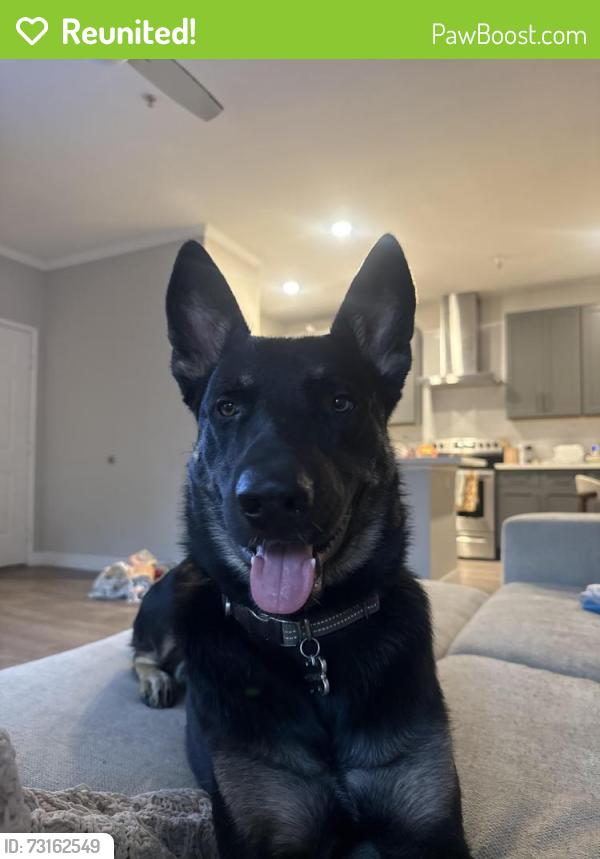 Reunited Male Dog last seen Roscoso street, Lakeside, CA 92040