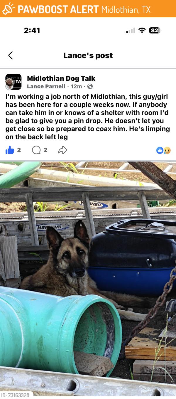Found/Stray Unknown Dog last seen North Midlothian, Midlothian, TX 76065