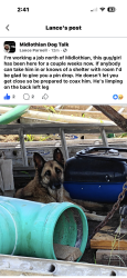 Found/Stray Unknown Dog last seen North Midlothian, Midlothian, TX 76065