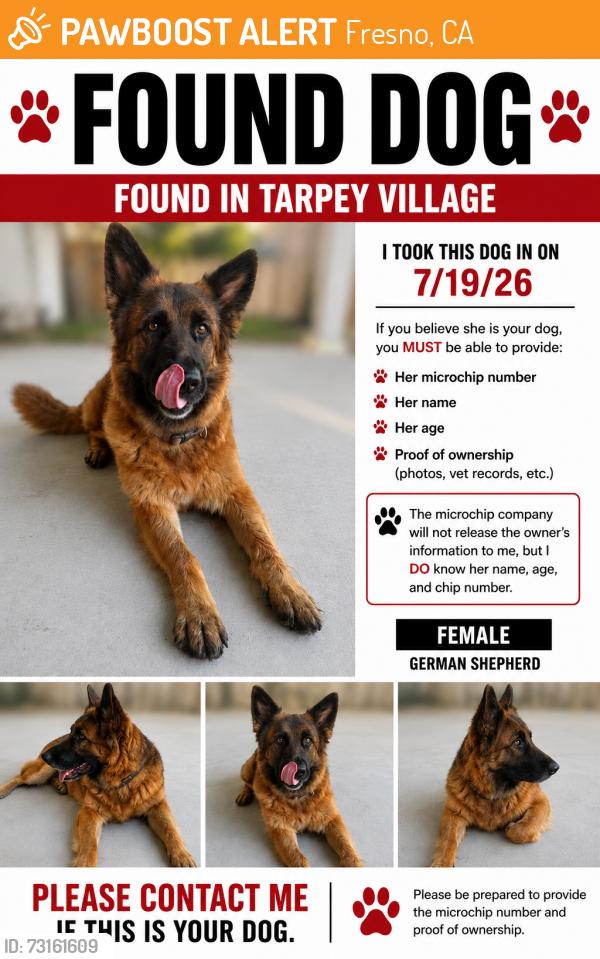 Found/Stray Female Dog last seen Tarpey Village, Fresno, CA 93726