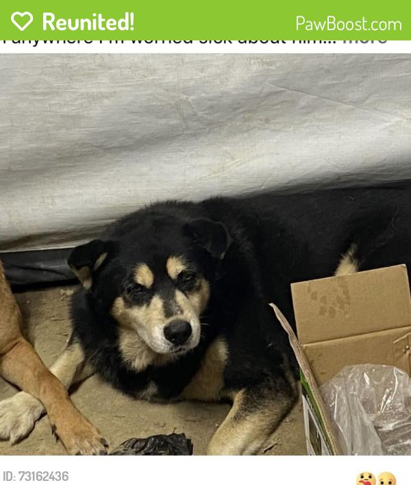 Reunited Male Dog last seen Johnson road Parker loop, shahan lane., Hamilton County, TN 37308