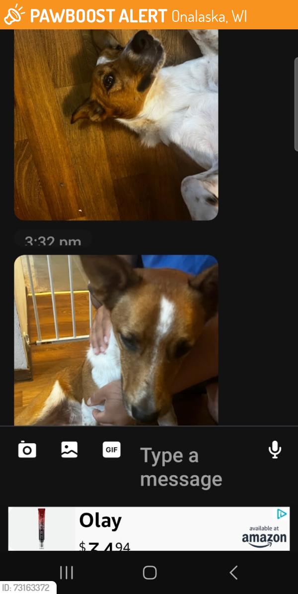 Found/Stray Male Dog last seen Around Woodman's by the fiberglass company, Onalaska, WI 54650