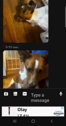 Found/Stray Male Dog last seen Around Woodman's by the fiberglass company, Onalaska, WI 54650