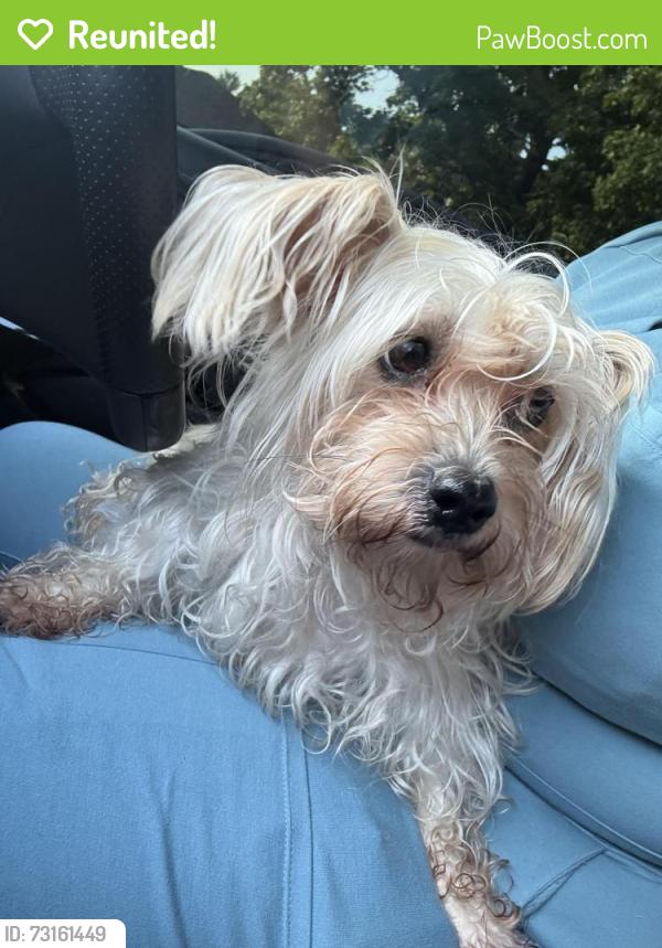 Reunited Female Dog last seen apmts on west Kemper by the park, Hamilton County, OH 45240
