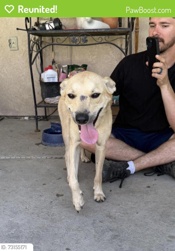 Reunited Female Dog last seen Saint Francis, Los Banos dog park and Los Banos ag complex, Los Banos, CA 93635
