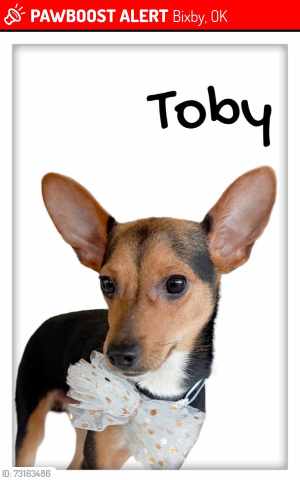 Lost Male Dog last seen Park at Southwood, Bixby, OK 74133