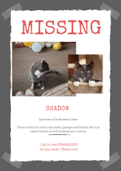 Lost Male Cat last seen Near Alvanley Close, Greater Manchester, England WN5 0HL