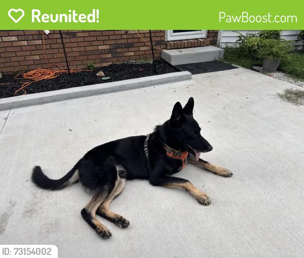 Reunited Male Dog last seen Wakefield and wimbledon, Clarksville, TN 37043