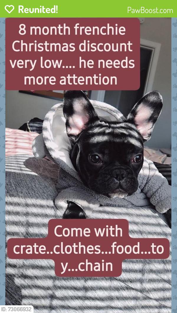 Reunited Male Dog last seen 78th and Pennsylvania, Oklahoma City, OK 73159