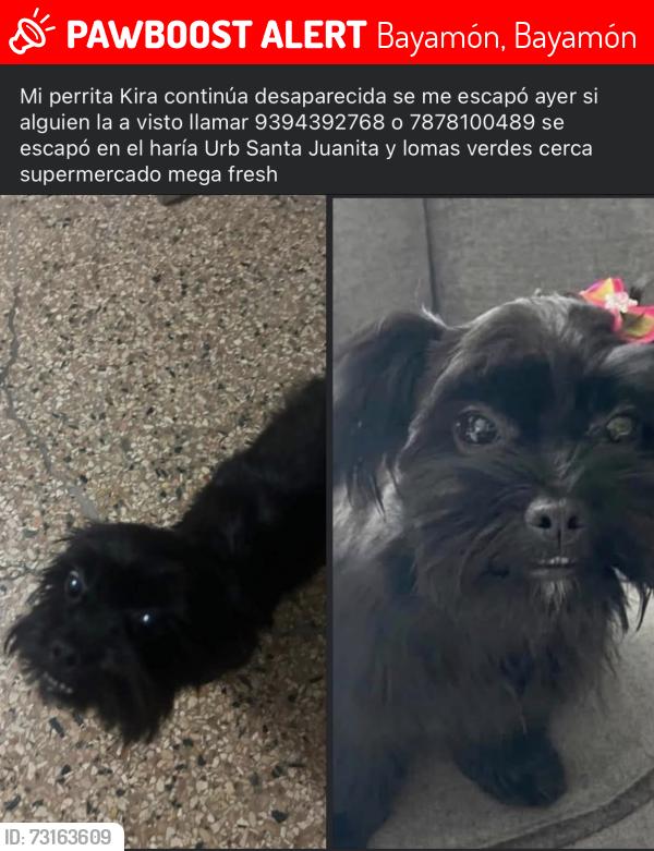 Lost Female Other last seen Santa Juanita, Bayamón, Bayamón 00956