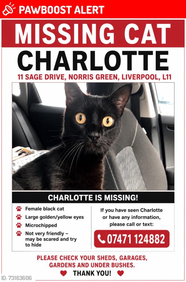 Lost Female Cat last seen Near Sage Drive, Merseyside, Inglaterra L11 2AF